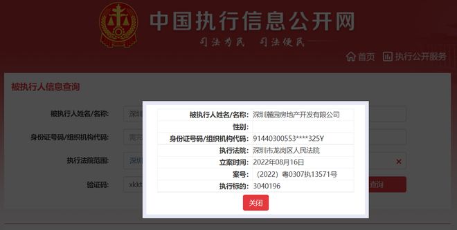 頤安集團旗下麓園地產被列為被執行人，執行標的304萬元，涉及投資興辦實業