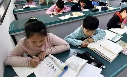 中小學課后服務全面鋪開，教育咨詢助力家長滿意度提升